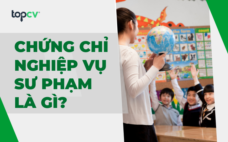 Chứng chỉ nghiệp vụ sư phạm là gì? Phân loại chứng chỉ nghiệp vụ sư phạm